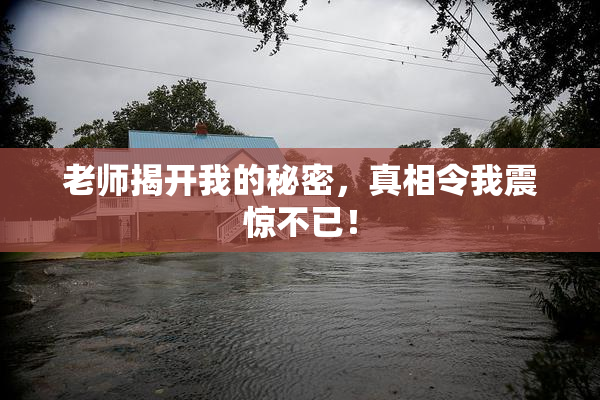 老师揭开我的秘密，真相令我震惊不已！
