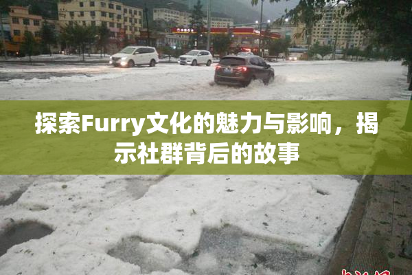 探索Furry文化的魅力与影响，揭示社群背后的故事
