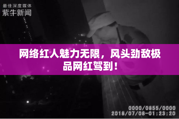 网络红人魅力无限，风头劲敌极品网红驾到！