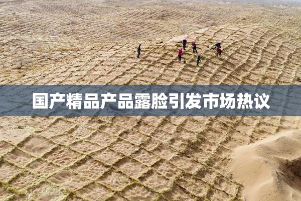 国产精品产品露脸引发市场热议