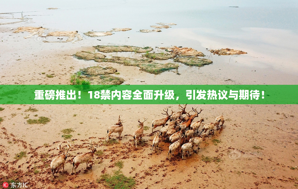 重磅推出！18禁内容全面升级，引发热议与期待！
