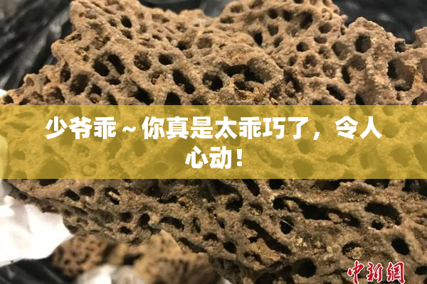少爷乖～你真是太乖巧了，令人心动！