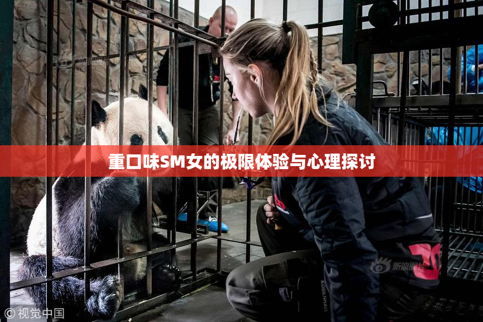 重口味SM女的极限体验与心理探讨