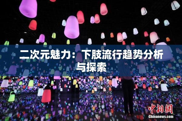 二次元魅力：下肢流行趋势分析与探索