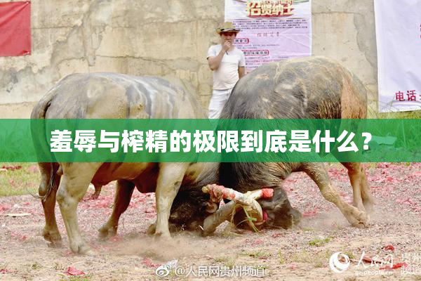 羞辱与榨精的极限到底是什么？