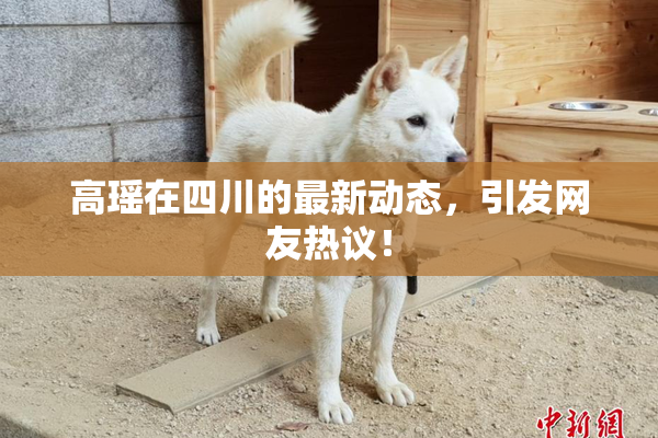 高瑶在四川的最新动态，引发网友热议！
