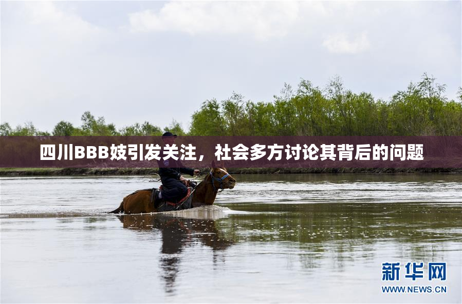 四川BBB妓引发关注，社会多方讨论其背后的问题