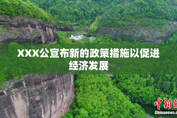 XXX公宣布新的政策措施以促进经济发展