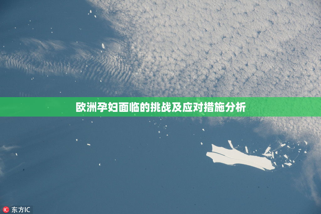 欧洲孕妇面临的挑战及应对措施分析