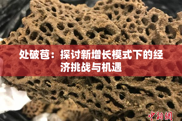 处破苞：探讨新增长模式下的经济挑战与机遇
