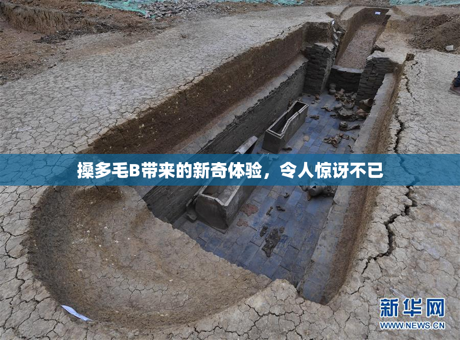 搡多毛B带来的新奇体验，令人惊讶不已