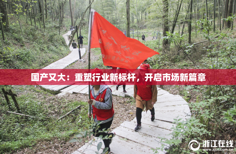 国产又大：重塑行业新标杆，开启市场新篇章