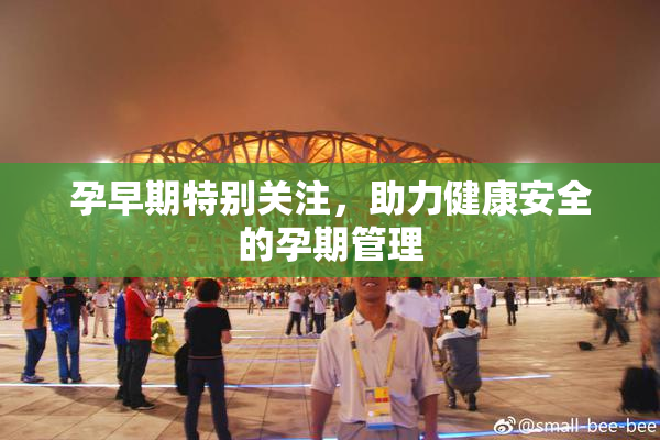孕早期特别关注，助力健康安全的孕期管理