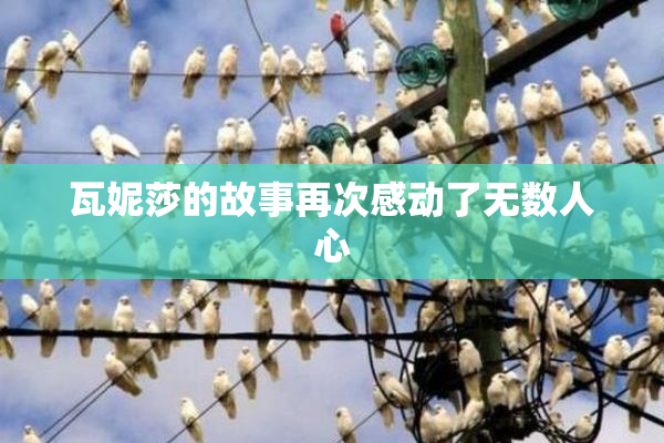 瓦妮莎的故事再次感动了无数人心