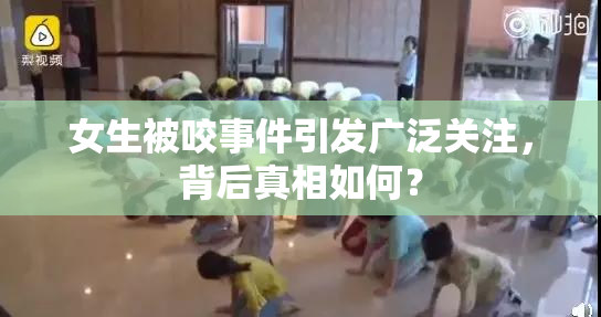 女生被咬事件引发广泛关注，背后真相如何？