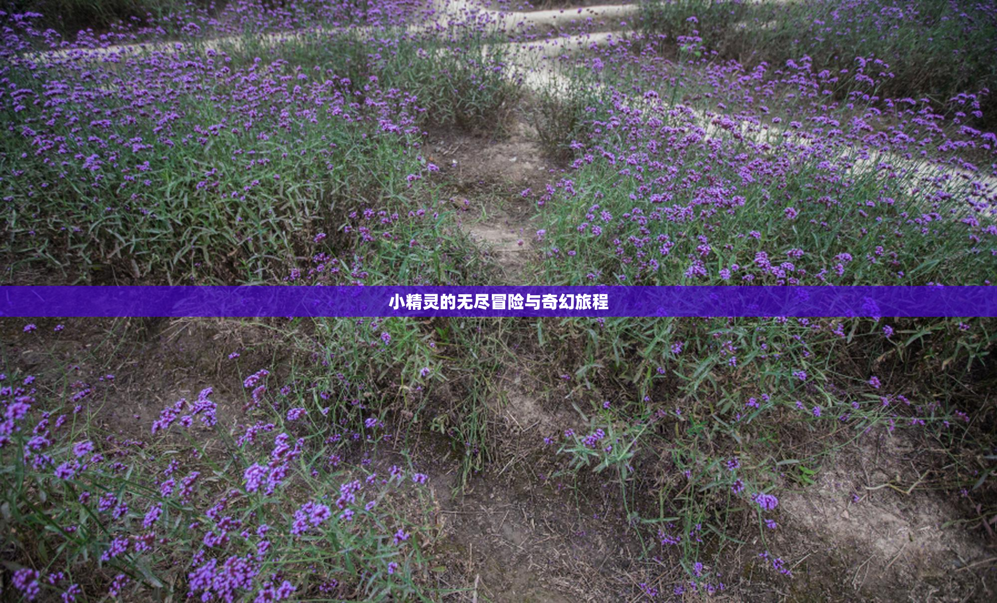 小精灵的无尽冒险与奇幻旅程