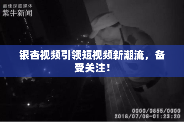 银杏视频引领短视频新潮流，备受关注！