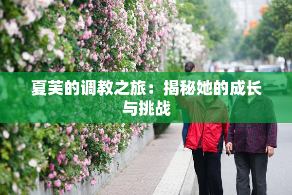 夏芙的调教之旅：揭秘她的成长与挑战