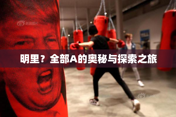 明里？全部A的奥秘与探索之旅