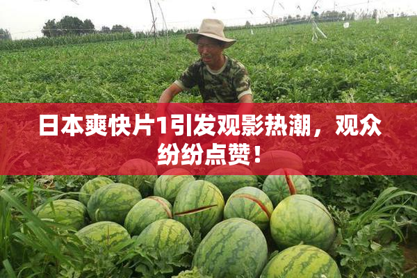 日本爽快片1引发观影热潮，观众纷纷点赞！
