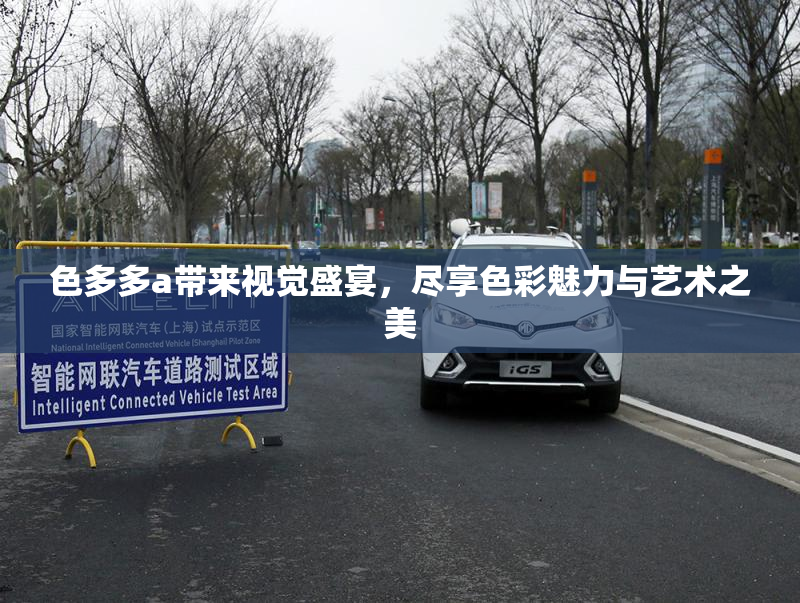 色多多a带来视觉盛宴，尽享色彩魅力与艺术之美