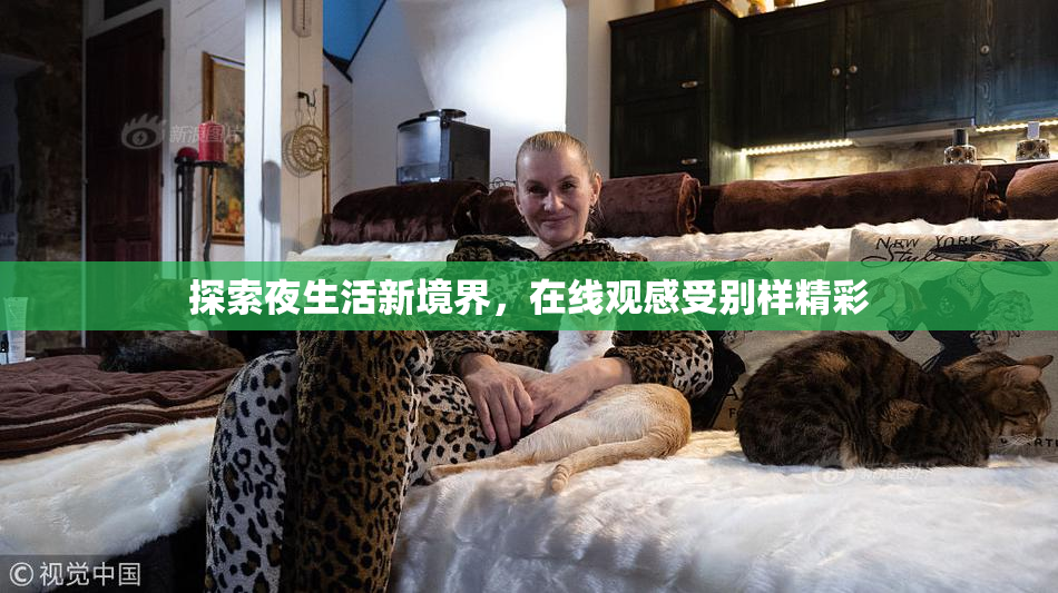 探索夜生活新境界，在线观感受别样精彩