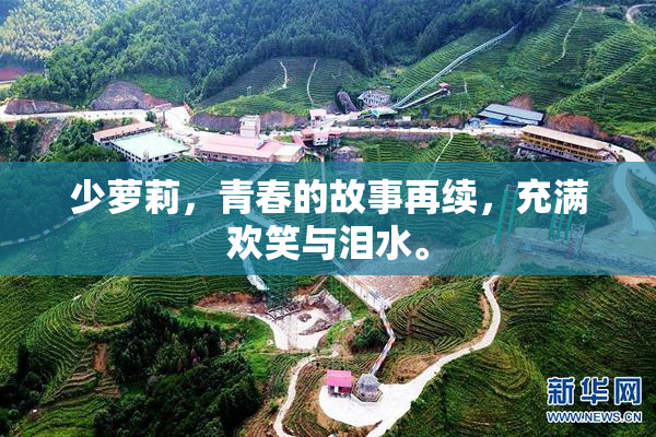 少萝莉，青春的故事再续，充满欢笑与泪水。