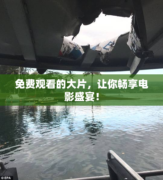 免费观看的大片，让你畅享电影盛宴！