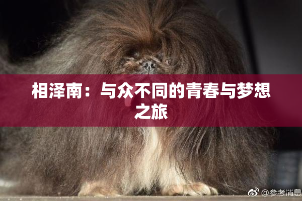 相泽南：与众不同的青春与梦想之旅