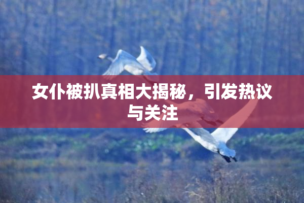 女仆被扒真相大揭秘，引发热议与关注