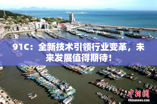 91C：全新技术引领行业变革，未来发展值得期待！
