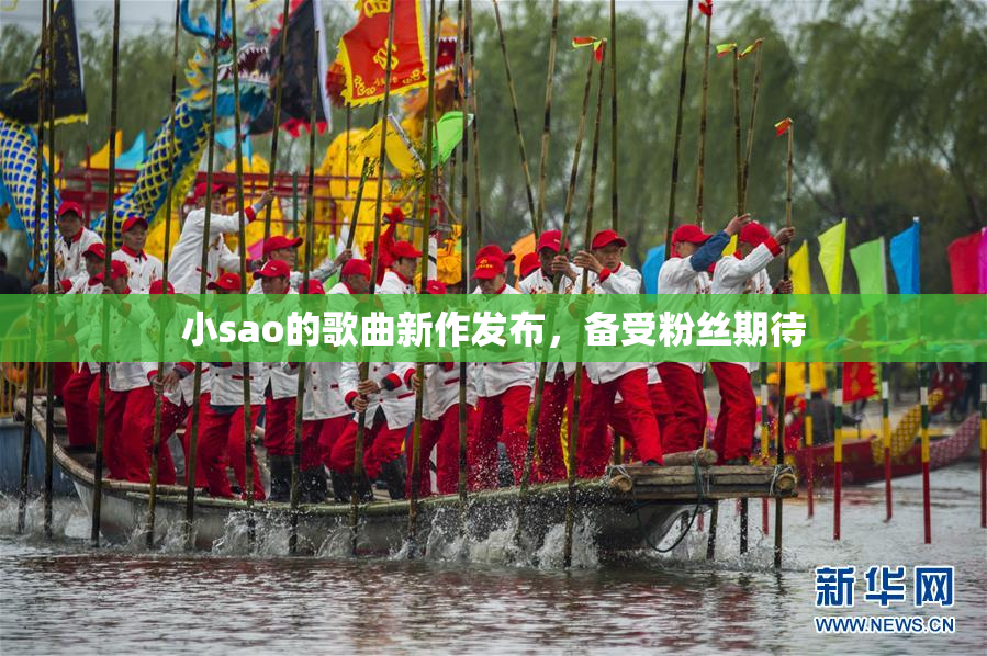 小sao的歌曲新作发布，备受粉丝期待