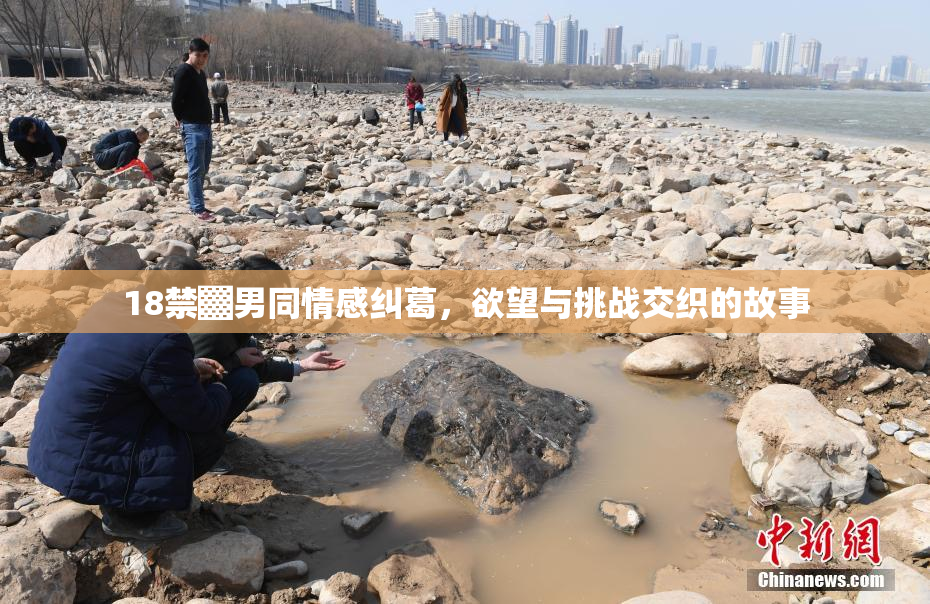 18禁▓男同情感纠葛，欲望与挑战交织的故事