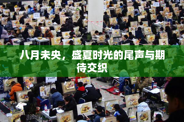 八月未央，盛夏时光的尾声与期待交织