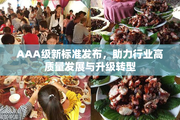 AAA级新标准发布，助力行业高质量发展与升级转型
