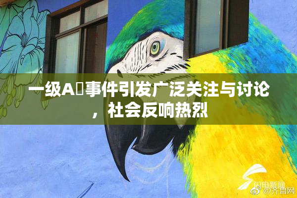 一级A婬事件引发广泛关注与讨论，社会反响热烈