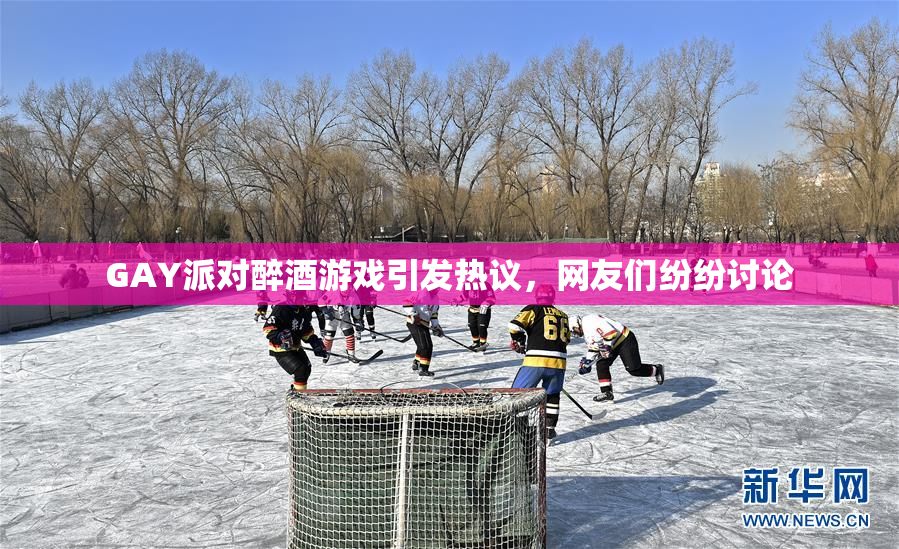 GAY派对醉酒游戏引发热议，网友们纷纷讨论