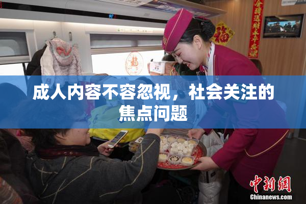 成人内容不容忽视，社会关注的焦点问题