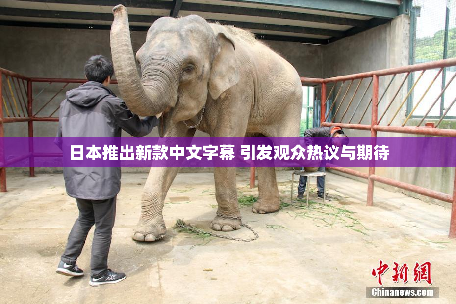 日本推出新款中文字幕 引发观众热议与期待