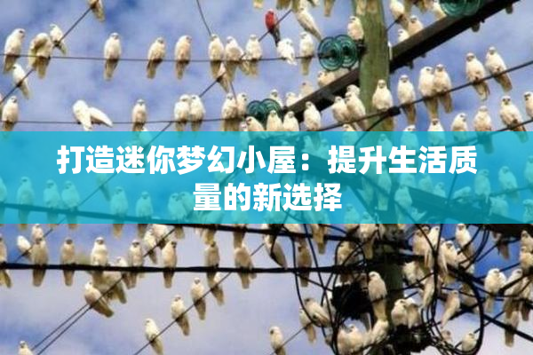 打造迷你梦幻小屋：提升生活质量的新选择