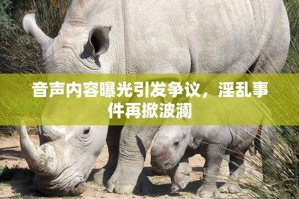 音声内容曝光引发争议，淫乱事件再掀波澜