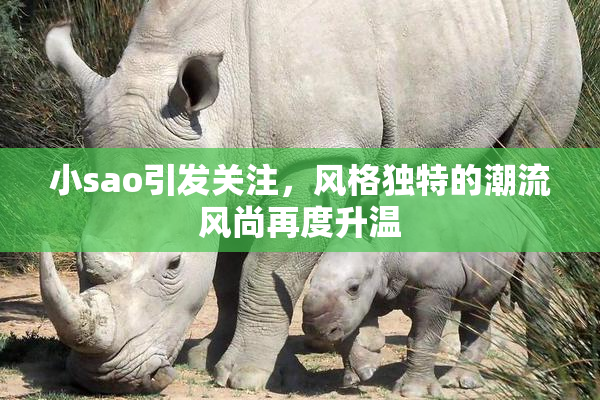 小sao引发关注，风格独特的潮流风尚再度升温
