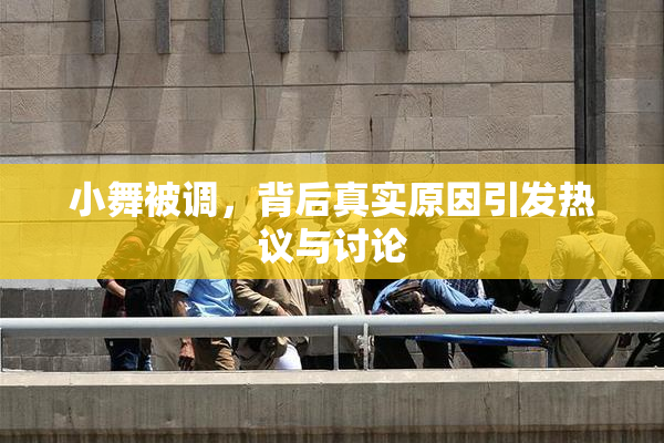 小舞被调，背后真实原因引发热议与讨论
