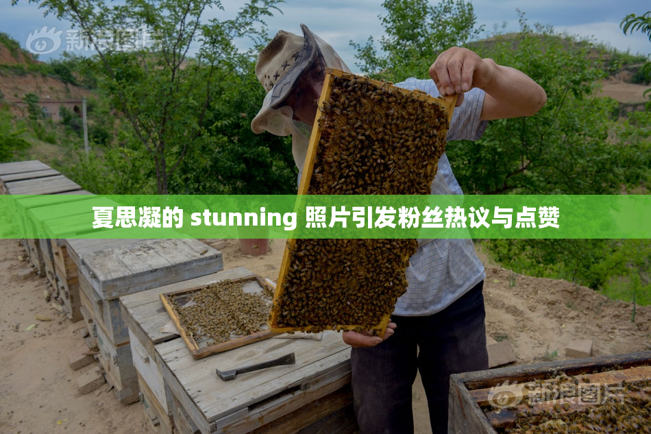 夏思凝的 stunning 照片引发粉丝热议与点赞
