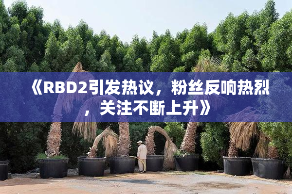 《RBD2引发热议，粉丝反响热烈，关注不断上升》