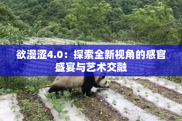 欲漫涩4.0：探索全新视角的感官盛宴与艺术交融