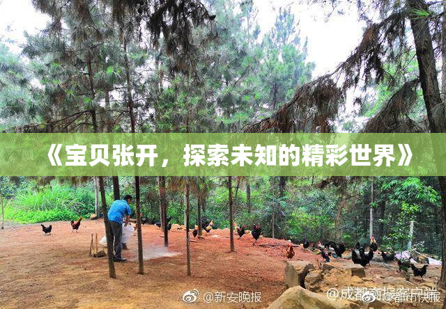 《宝贝张开，探索未知的精彩世界》