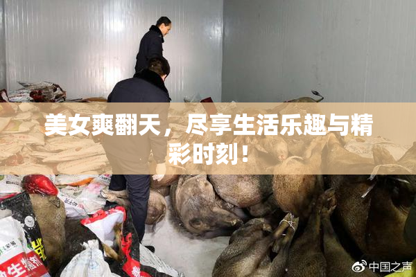 美女爽翻天，尽享生活乐趣与精彩时刻！
