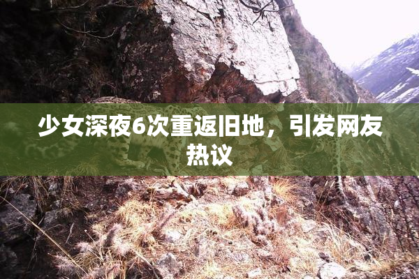 少女深夜6次重返旧地，引发网友热议