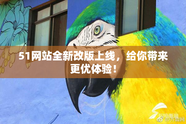 51网站全新改版上线，给你带来更优体验！